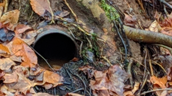 The Sound of Hollow